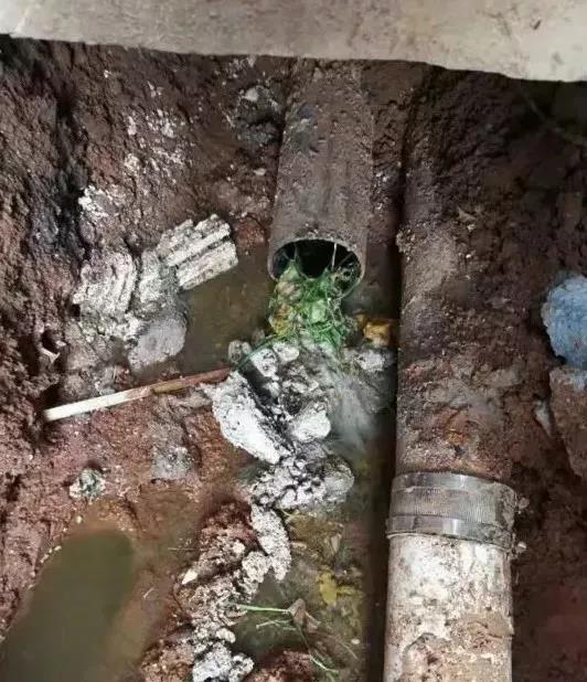 微信圖片_20220222161706