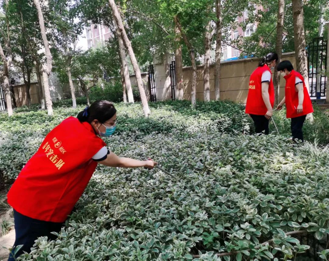 微信圖片_20220705164855