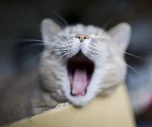 微信圖片_20221104160517