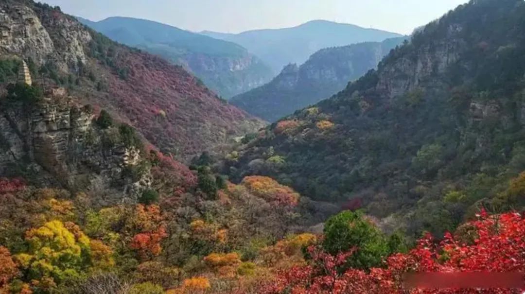 微信圖片_20221121153715